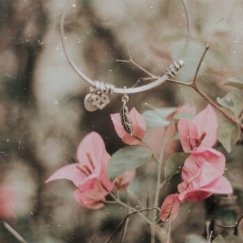 Foto de umas flores rosas