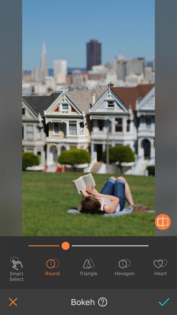 woman reads book on green lawn in San Francisco park