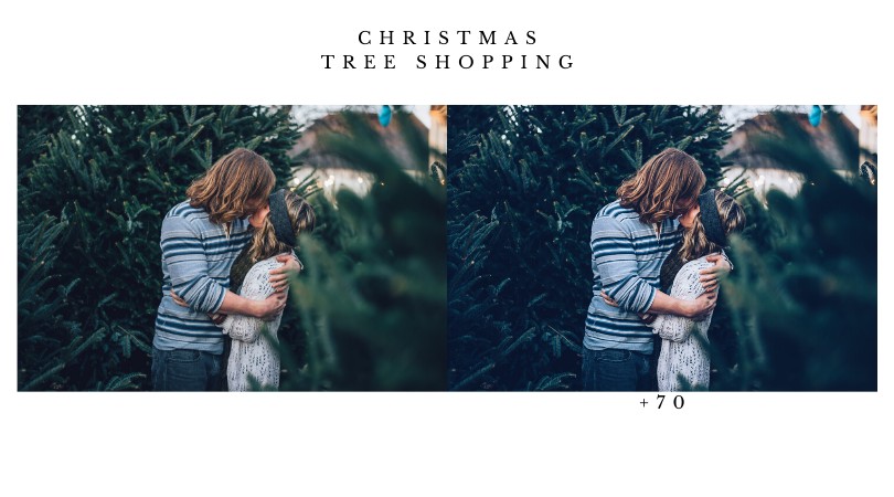 a couple kissing in between Christmas trees