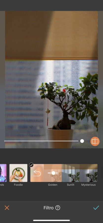 foto de árbol de la felicidad