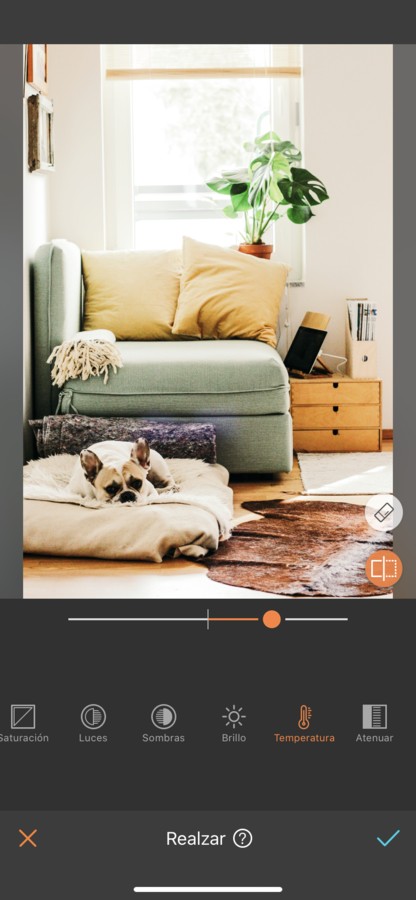 foto del interior de una casa con un perro dormido en su cama en la sala de estar