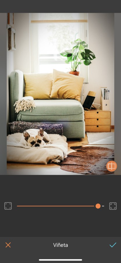 foto del interior de una casa con un perro dormido en su cama en la sala de estar 