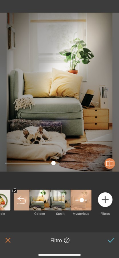 foto del interior de una casa con un perro dormido en su cama en la sala de estar