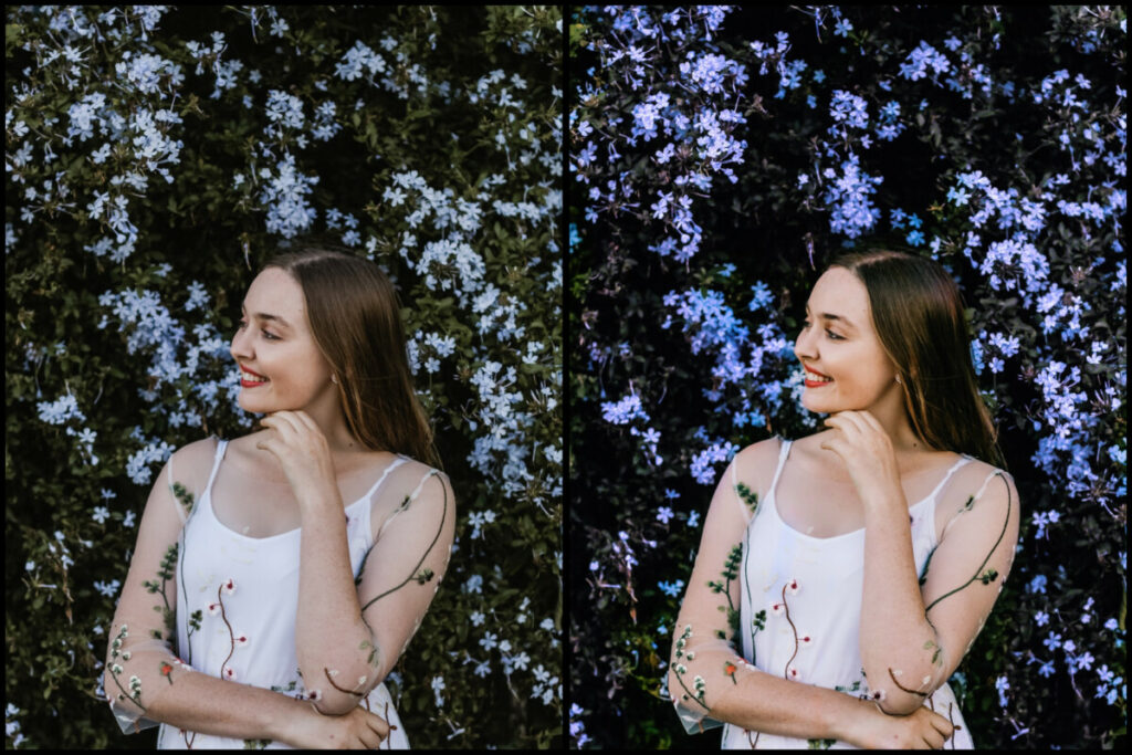 Faça fotos com flores