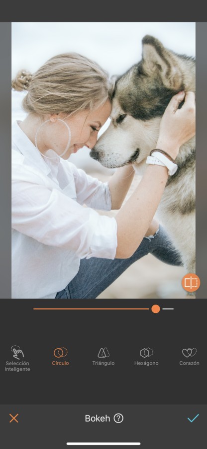 fotos para tu perro 03