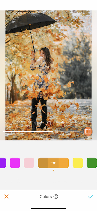 Fall Colors Tool Magic 11