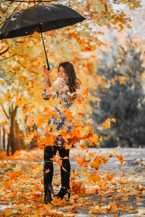 Fall Colors Tool Magic 14