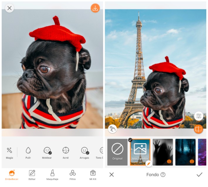 perro pug enfrente De la Torre Eiffel vestido de francés