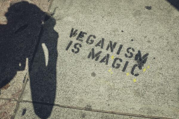 Imagem do chão com a frase "Veganism is Magic" pintada.