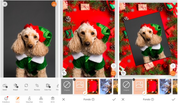 foto navideña de perros