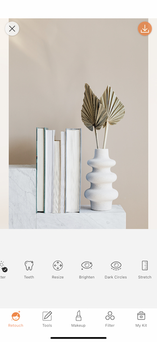 picture of a plant vase with books being edited by AirBrush