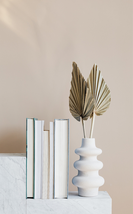 picture of a plant vase with books