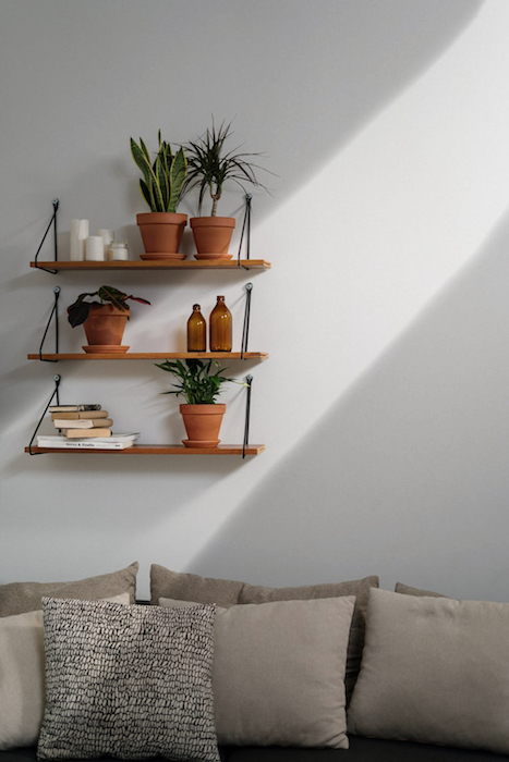 picture of a shelf with plants on it