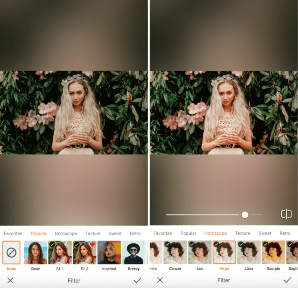 Horoscope edit with Virgo filter