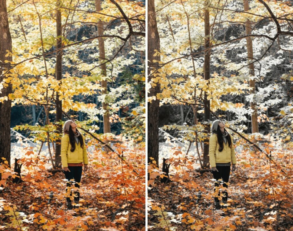 fall edits with woman standing in the forest