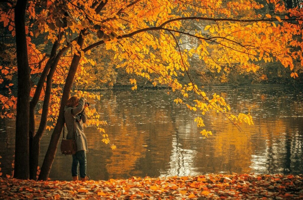 woman taking a photograph by a lake amidst fall foliage