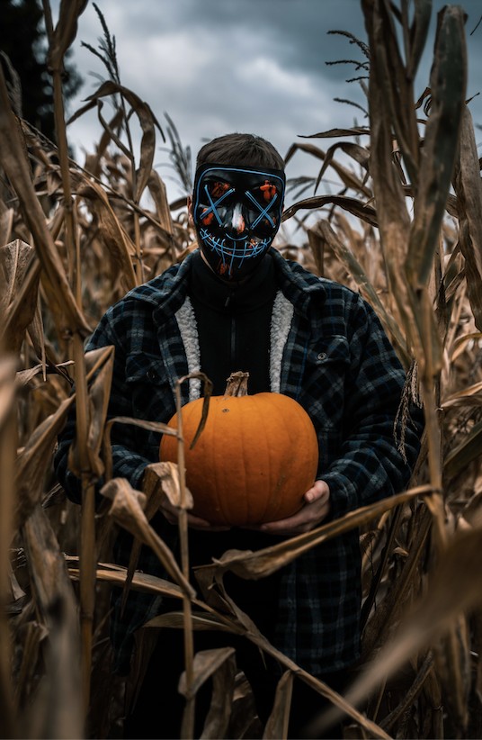 man wearing a Purge mask holds a pumpkin in a corn field
